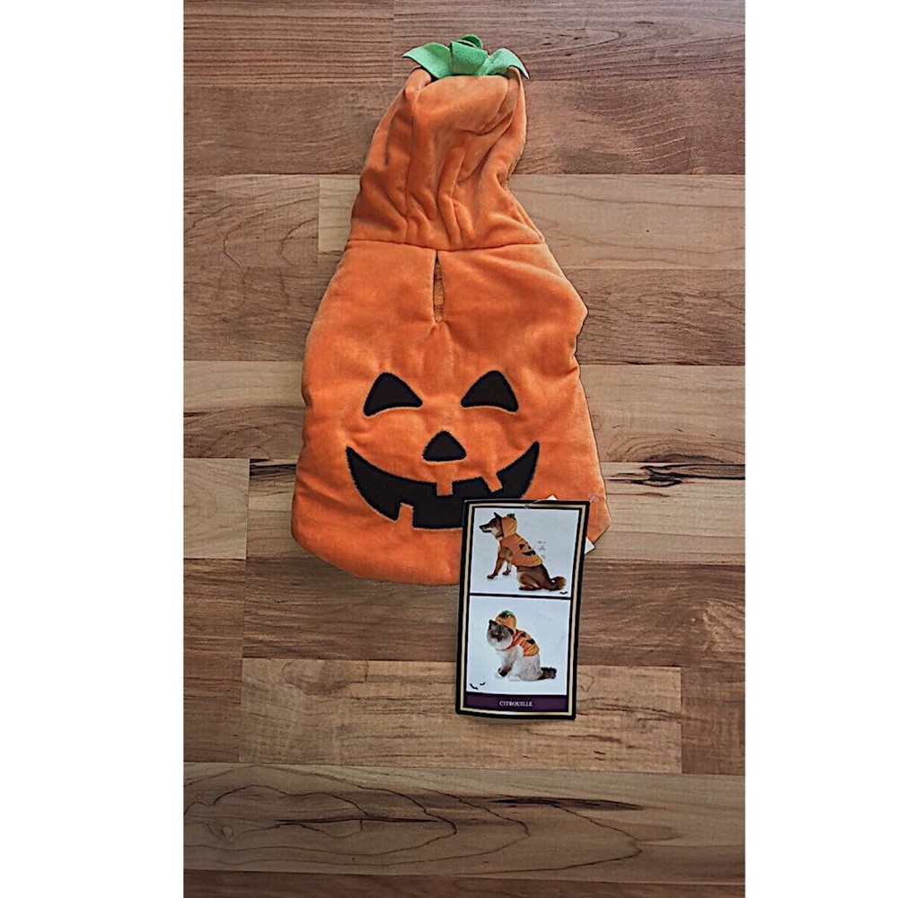 Halloween Pumpkin Dog Costume.